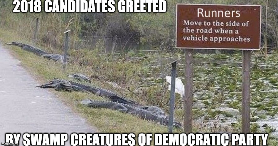 2018 CANDIDATES GREETED; BY SWAMP CREATURES OF DEMOCRATIC PARTY | made w/ Imgflip meme maker