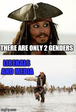 The Sad Truth | LIBERALS AND MEDIA; THERE ARE ONLY 2 GENDERS | image tagged in jack sparrow being chased,college liberal,liberals,conservatives,liberals vs conservatives | made w/ Imgflip meme maker