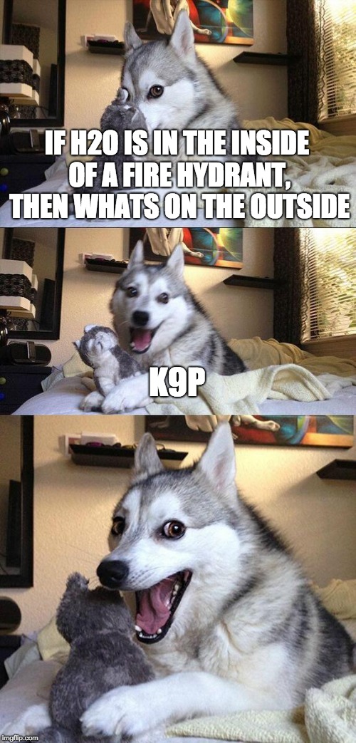 Bad Pun Dog Meme | IF H2O IS IN THE INSIDE OF A FIRE HYDRANT, THEN WHATS ON THE OUTSIDE; K9P | image tagged in memes,bad pun dog | made w/ Imgflip meme maker