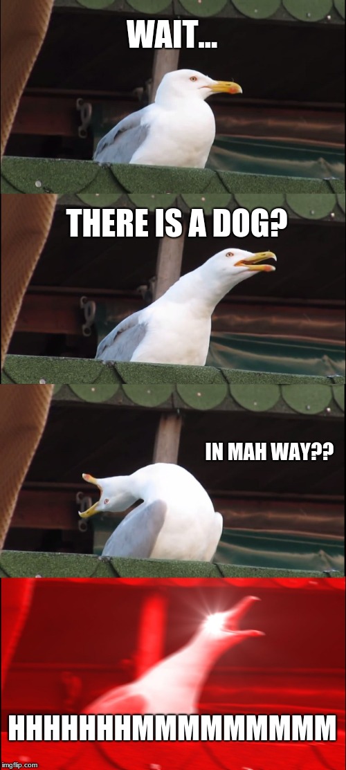 Inhaling Seagull | WAIT... THERE IS A DOG? IN MAH WAY?? HHHHHHHMMMMMMMMM | image tagged in memes,inhaling seagull | made w/ Imgflip meme maker