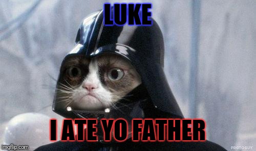 Grumpy Cat Star Wars Meme | LUKE; I ATE YO FATHER | image tagged in memes,grumpy cat star wars,grumpy cat | made w/ Imgflip meme maker