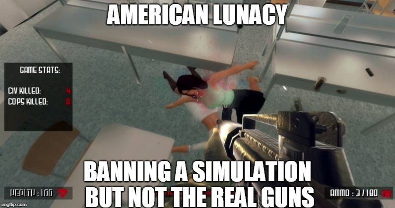 American Lunacy | AMERICAN LUNACY; BANNING A SIMULATION BUT NOT THE REAL GUNS | image tagged in america,school shooting,guns | made w/ Imgflip meme maker