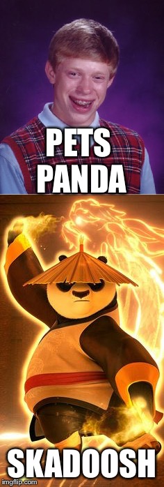 Skadoosh | PETS PANDA; SKADOOSH | image tagged in bad luck brian,panda | made w/ Imgflip meme maker