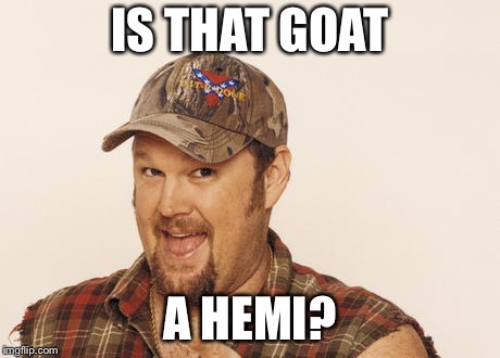 Now that's funny right there | IS THAT GOAT A HEMI? | image tagged in now that's funny right there | made w/ Imgflip meme maker