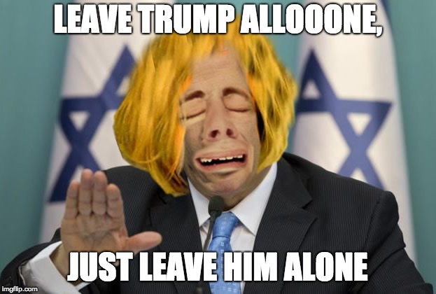 LEAVE TRUMP ALLOOONE, JUST LEAVE HIM ALONE | image tagged in leave politician alone | made w/ Imgflip meme maker