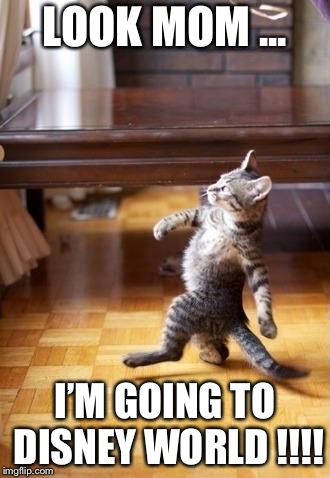 Cool Cat Stroll Meme | LOOK MOM ... I’M GOING TO DISNEY WORLD !!!! | image tagged in memes,cool cat stroll | made w/ Imgflip meme maker