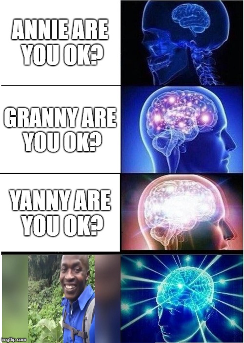 Potassium | ANNIE ARE YOU OK? GRANNY ARE YOU OK? YANNY ARE YOU OK? | image tagged in memes,expanding brain | made w/ Imgflip meme maker