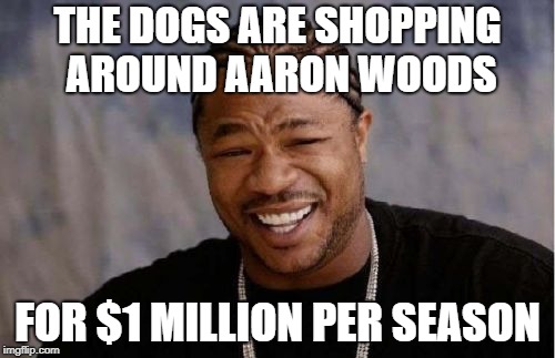 Yo Dawg Heard You Meme | THE DOGS ARE SHOPPING AROUND AARON WOODS; FOR
$1 MILLION PER SEASON | image tagged in memes,yo dawg heard you | made w/ Imgflip meme maker