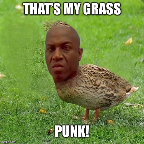 Deebo Duck - coolbullshit | THAT’S MY GRASS; PUNK! | image tagged in deebo duck - coolbullshit | made w/ Imgflip meme maker