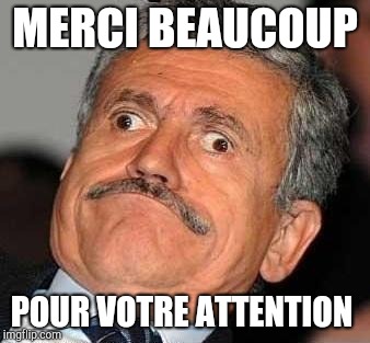 Nerp Derp  | MERCI BEAUCOUP; POUR VOTRE ATTENTION | image tagged in nerp derp | made w/ Imgflip meme maker