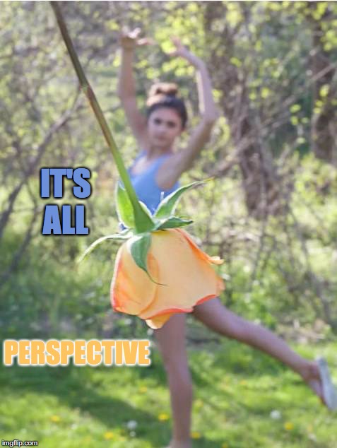 It's All.... | IT'S ALL; PERSPECTIVE | image tagged in perspective,dance,rose,dress,ballet | made w/ Imgflip meme maker