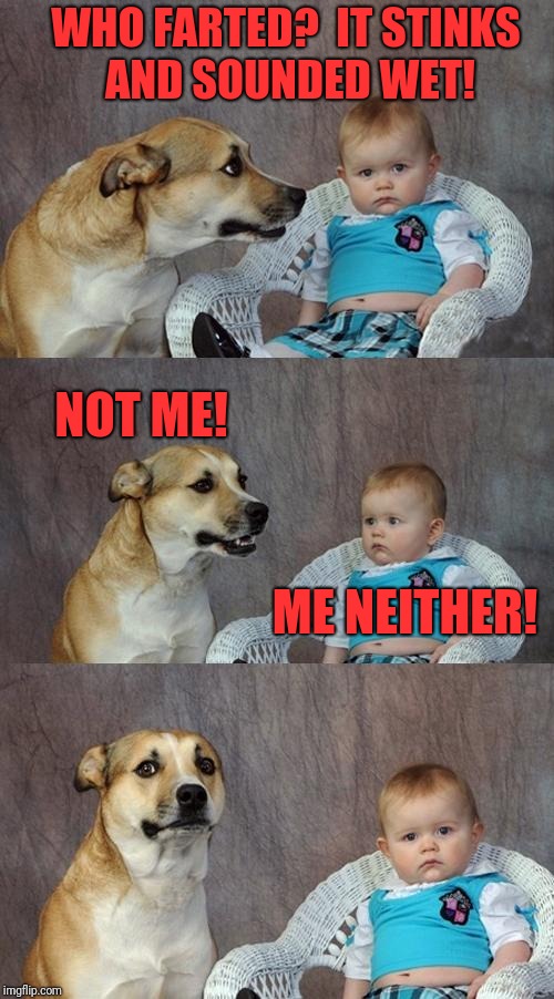 Dad Joke Dog Meme | WHO FARTED?  IT STINKS AND SOUNDED WET! NOT ME! ME NEITHER! | image tagged in memes,dad joke dog | made w/ Imgflip meme maker