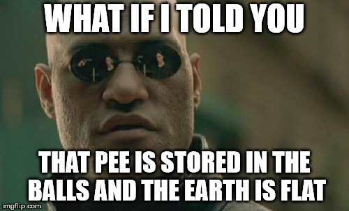 Matrix Morpheus Meme | WHAT IF I TOLD YOU; THAT PEE IS STORED IN THE BALLS AND THE EARTH IS FLAT | image tagged in memes,matrix morpheus | made w/ Imgflip meme maker