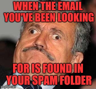 Nerp Derp  | WHEN THE EMAIL YOU'VE BEEN LOOKING; FOR IS FOUND IN YOUR SPAM FOLDER | image tagged in nerp derp | made w/ Imgflip meme maker