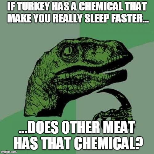 Philosoraptor Meme | IF TURKEY HAS A CHEMICAL THAT MAKE YOU REALLY SLEEP FASTER... ...DOES OTHER MEAT HAS THAT CHEMICAL? | image tagged in memes,philosoraptor | made w/ Imgflip meme maker