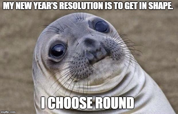 My New Year’s resolution is to get in shape | MY NEW YEAR’S RESOLUTION IS TO GET IN SHAPE. I CHOOSE ROUND | image tagged in memes,awkward moment sealion | made w/ Imgflip meme maker