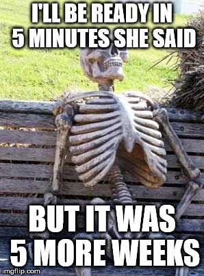 Waiting Skeleton | I'LL BE READY IN 5 MINUTES SHE SAID; BUT IT WAS 5 MORE WEEKS | image tagged in memes,waiting skeleton | made w/ Imgflip meme maker