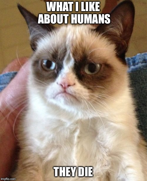 Grumpy Cat | WHAT I LIKE ABOUT HUMANS; THEY DIE | image tagged in memes,grumpy cat | made w/ Imgflip meme maker