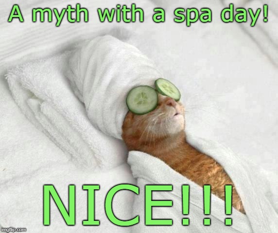Cat Spa | A myth with a spa day! NICE!!! | image tagged in cat spa | made w/ Imgflip meme maker