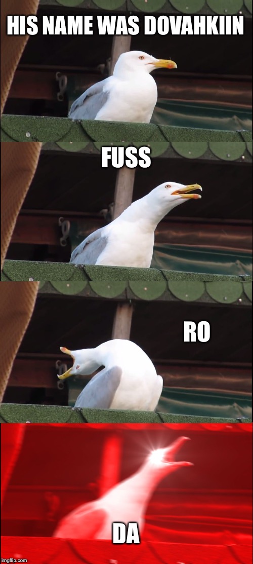 Inhaling Seagull Meme | HIS NAME WAS DOVAHKIIN; FUSS; RO; DA | image tagged in memes,inhaling seagull | made w/ Imgflip meme maker