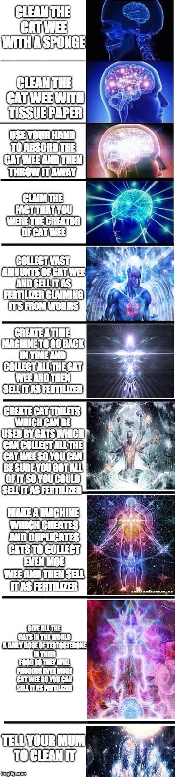expanding brain | CLEAN THE CAT WEE WITH A SPONGE; CLEAN THE CAT WEE WITH TISSUE PAPER; USE YOUR HAND TO ABSORB THE CAT WEE AND THEN THROW IT AWAY; CLAIM THE FACT THAT YOU WERE THE CREATOR OF CAT WEE; COLLECT VAST AMOUNTS OF CAT WEE AND SELL IT AS FERTILIZER CLAIMING IT'S FROM WORMS; CREATE A TIME MACHINE TO GO BACK IN TIME AND COLLECT ALL THE CAT WEE AND THEN SELL IT AS FERTILIZER; CREATE CAT TOILETS WHICH CAN BE USED BY CATS WHICH CAN COLLECT ALL THE CAT WEE SO YOU CAN BE SURE YOU GOT ALL OF IT SO YOU COULD SELL IT AS FERTILIZER; MAKE A MACHINE WHICH CREATES AND DUPLICATES CATS TO COLLECT EVEN MOE WEE AND THEN SELL IT AS FERTILIZER; GIVE ALL THE CATS IN THE WORLD A DAILY DOSE OF TESTOSTERONE IN THEIR FOOD SO THEY WILL PRODUCE EVEN MORE CAT WEE SO YOU CAN SELL IT AS FERTILIZER; TELL YOUR MUM TO CLEAN IT | image tagged in expanding brain | made w/ Imgflip meme maker
