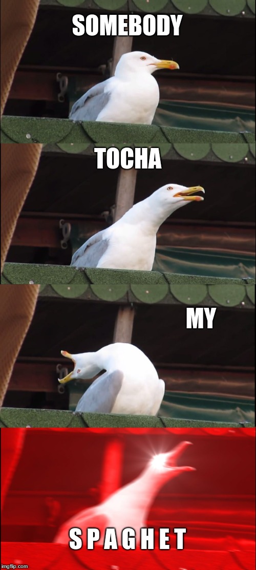 When Somebody touches your food | SOMEBODY; TOCHA; MY; S P A G H E T | image tagged in memes,inhaling seagull,somebody toucha my spaghet,food,funny,rage | made w/ Imgflip meme maker
