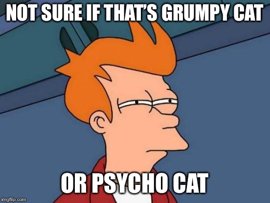 Futurama Fry Meme | NOT SURE IF THAT’S GRUMPY CAT OR PSYCHO CAT | image tagged in memes,futurama fry | made w/ Imgflip meme maker