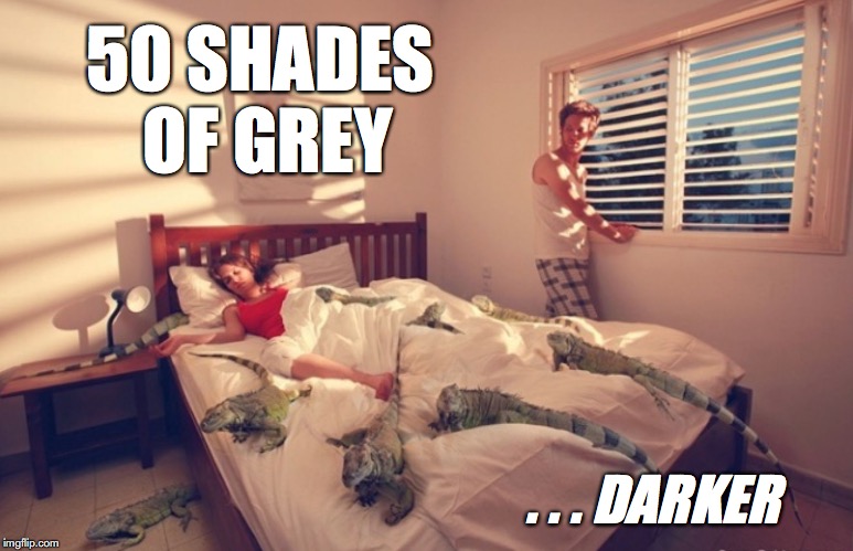 50 SHADES OF GREY; . . . DARKER | image tagged in 50 shades of grey | made w/ Imgflip meme maker