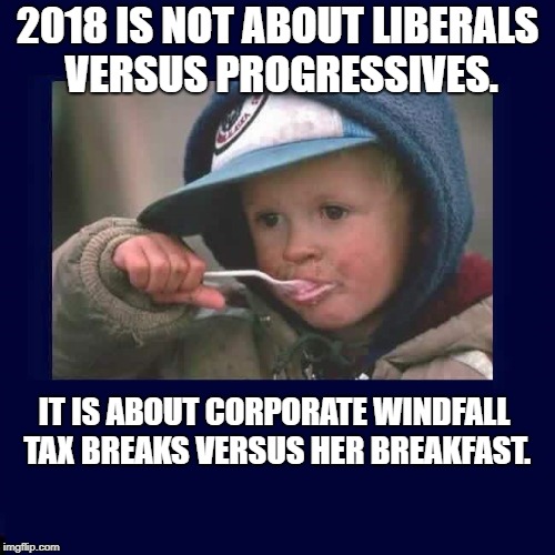 poor child | 2018 IS NOT ABOUT LIBERALS VERSUS PROGRESSIVES. IT IS ABOUT CORPORATE WINDFALL TAX BREAKS VERSUS HER BREAKFAST. | image tagged in poor child | made w/ Imgflip meme maker