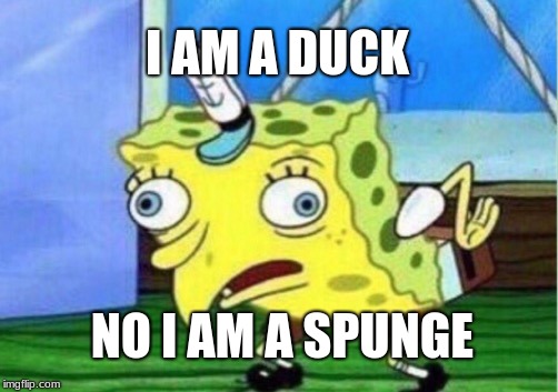 Mocking Spongebob Meme | I AM A DUCK; NO I AM A SPUNGE | image tagged in memes,mocking spongebob | made w/ Imgflip meme maker