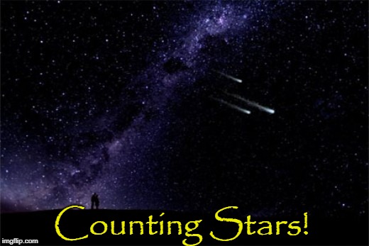 Little People in Meme.World Trying to Catch a Falling Star | Counting Stars! | image tagged in vince vance,catch a falling star,shooting star,starlight starbright,looking at the night sky,really living | made w/ Imgflip meme maker