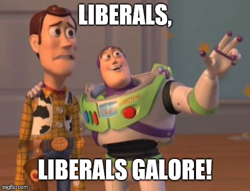 X, X Everywhere | LIBERALS, LIBERALS GALORE! | image tagged in memes,x x everywhere | made w/ Imgflip meme maker