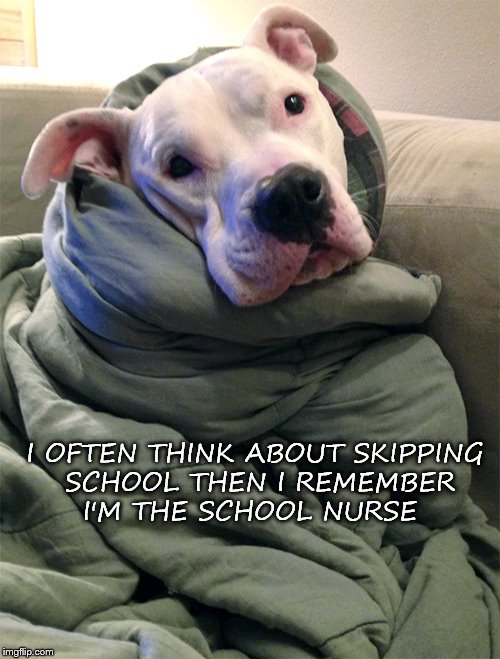 I OFTEN THINK ABOUT SKIPPING SCHOOL THEN I REMEMBER I'M THE SCHOOL NURSE | image tagged in nurse | made w/ Imgflip meme maker