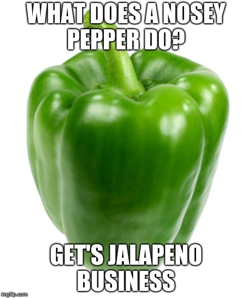 Green Pepper | WHAT DOES A NOSEY PEPPER DO? GET'S JALAPENO BUSINESS | image tagged in green pepper | made w/ Imgflip meme maker