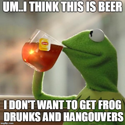 But That's None Of My Business Meme | UM..I THINK THIS IS BEER; I DON'T WANT TO GET FROG DRUNKS AND HANGOUVERS | image tagged in memes,but thats none of my business,kermit the frog | made w/ Imgflip meme maker