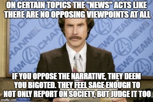 Biased "referees"  | ON CERTAIN TOPICS THE "NEWS" ACTS LIKE THERE ARE NO OPPOSING VIEWPOINTS AT ALL; IF YOU OPPOSE THE NARRATIVE, THEY DEEM YOU BIGOTED. THEY FEEL SAGE ENOUGH TO NOT ONLY REPORT ON SOCIETY, BUT JUDGE IT TOO | image tagged in memes,ron burgundy,fake news | made w/ Imgflip meme maker
