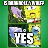 Spongebob magic conch | IS BARNACLE A WOLF? YES | image tagged in spongebob magic conch | made w/ Imgflip meme maker