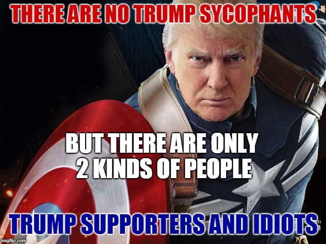 Trump @TheRealCaptainAmerica | THERE ARE NO TRUMP SYCOPHANTS TRUMP SUPPORTERS AND IDIOTS BUT THERE ARE ONLY 2 KINDS OF PEOPLE | image tagged in trump therealcaptainamerica | made w/ Imgflip meme maker