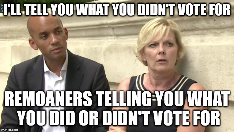 Brexit remoaner - what you didn't vote for | I'LL TELL YOU WHAT YOU DIDN'T VOTE FOR; REMOANERS TELLING YOU WHAT YOU DID OR DIDN'T VOTE FOR | image tagged in brexit remoaners,chuka umunna,anna soubry,vince cable,corbyn eww,funny | made w/ Imgflip meme maker