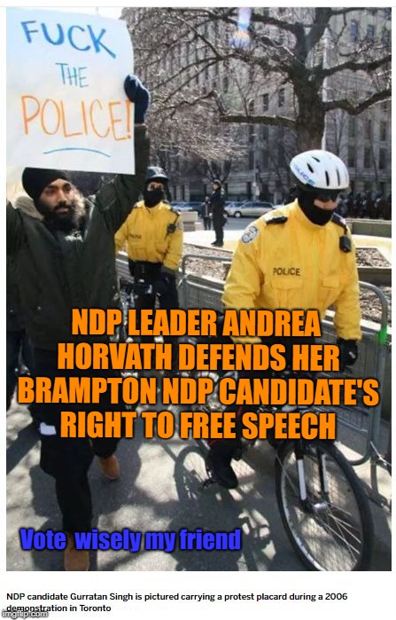 NDP LEADER ANDREA HORVATH DEFENDS HER BRAMPTON NDP CANDIDATE'S RIGHT TO FREE SPEECH; Vote  wisely my friend | image tagged in gurratan singh | made w/ Imgflip meme maker