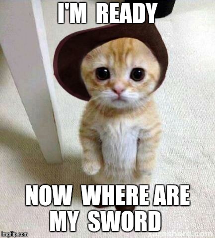 Cute Cat | I'M  READY; NOW  WHERE ARE MY  SWORD | image tagged in cute cat,puss in boots | made w/ Imgflip meme maker