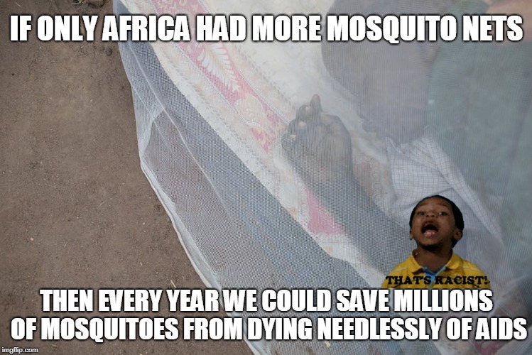Save a mosquito, buy an African a mosquito net. | image tagged in racist,mosquito,savage,lol | made w/ Imgflip meme maker