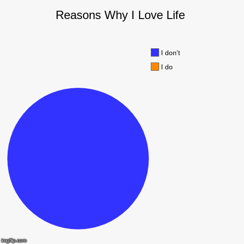Reasons Why I Love Life | I do, I don't | image tagged in funny,pie charts | made w/ Imgflip chart maker