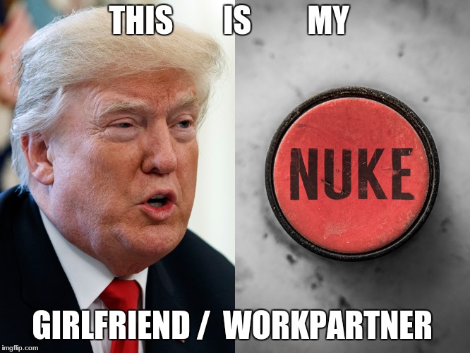 THIS        IS         MY; GIRLFRIEND /  WORKPARTNER | image tagged in nuke,funny memes | made w/ Imgflip meme maker