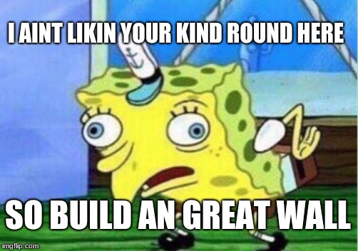 Mocking Spongebob | I AINT LIKIN YOUR KIND ROUND HERE; SO BUILD AN GREAT WALL | image tagged in memes,mocking spongebob | made w/ Imgflip meme maker