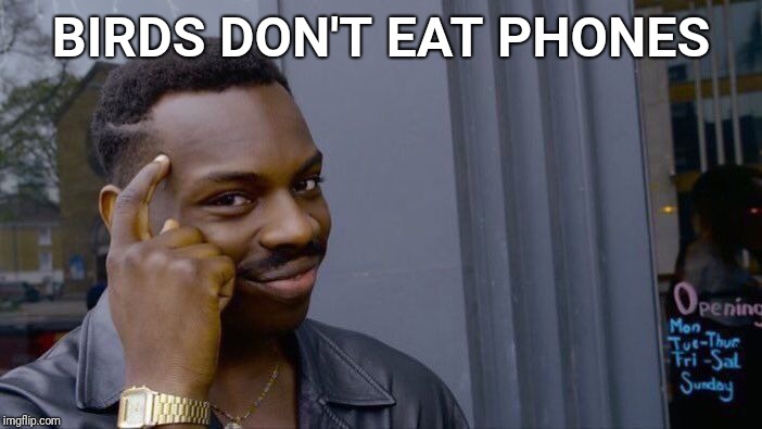 Roll Safe Think About It Meme | BIRDS DON'T EAT PHONES | image tagged in memes,roll safe think about it | made w/ Imgflip meme maker