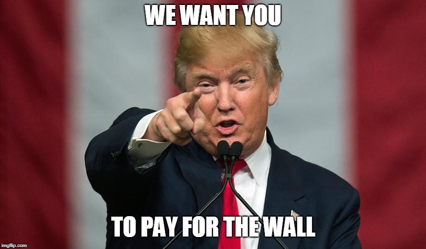 Donald Trump Birthday | WE WANT YOU; TO PAY FOR THE WALL | image tagged in donald trump birthday | made w/ Imgflip meme maker