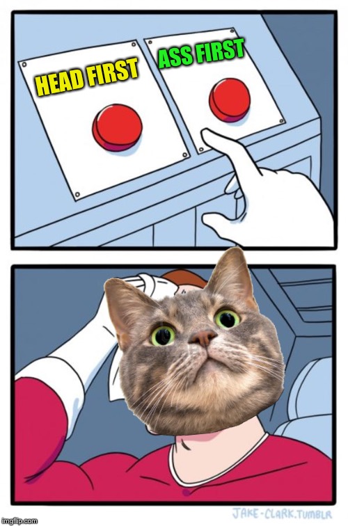 Two Buttons Meme | HEAD FIRST ASS FIRST | image tagged in memes,two buttons | made w/ Imgflip meme maker