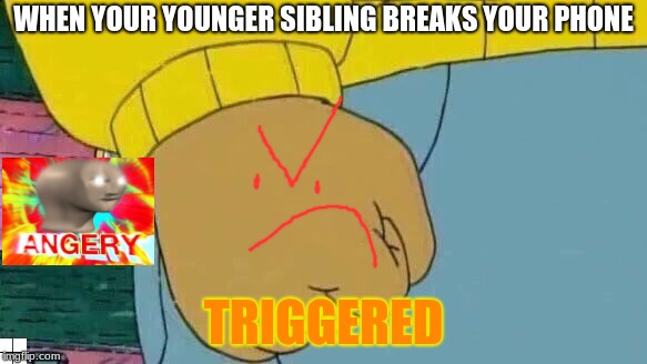 Arthur Fist | WHEN YOUR YOUNGER SIBLING BREAKS YOUR PHONE; TRIGGERED | image tagged in memes,arthur fist | made w/ Imgflip meme maker