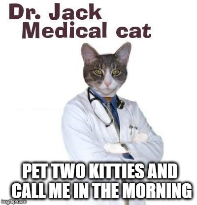 PET TWO KITTIES AND CALL ME IN THE MORNING | image tagged in cat,medical,doctor,reality tv,kitties,cats | made w/ Imgflip meme maker